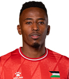 Mousa Farawi