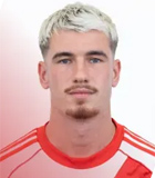 Nicolo Radaelli