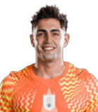 Santiago Andres Mele Castanero