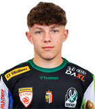Diego Madritsch