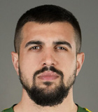 Aleksandar Mesarovic