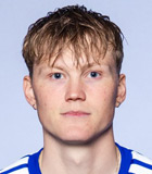Halldor Stenevik