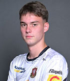 Luka Kapulica