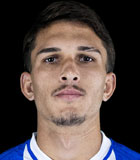 Vinicius Gugel da Silva