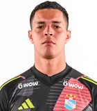 Renato Alfredo Solis Salinas