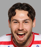 Dominik Radic