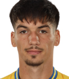Alin Botogan