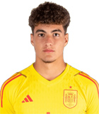 Raul Jimenez Latorre