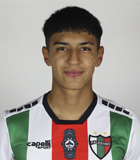 Martin Araya