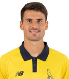 Fabio Gerli