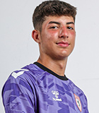 Efe Yigit Ustun