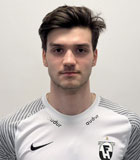 Vuk Oskar Dimitrijevic