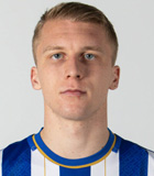 Haris Hajdarevic