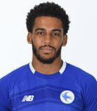 Andy Rinomhota