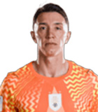 เฟอร์นานโด มุสเลรา