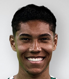Vinicius Balieiro Lourenco De Carvalho