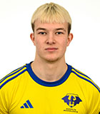 David Petrik