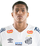 Joao Victor de Souza Menezes
