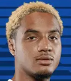 Armstrong Okoflex
