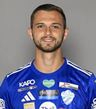 Julian Peter Golles
