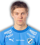 Birnir Snaer Ingason