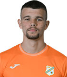 Aleksa Todorovic