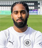Erico Henrique Esteves de Sousa