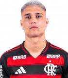 Luiz de Araujo Guimaraes Neto