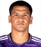 Cesar Araujo