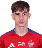 Bogdan Mircetic
