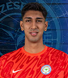 Efe Dogan