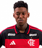 Vitor Eduardo da Silva Matos