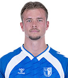 Alexander Ahl Holmstrom