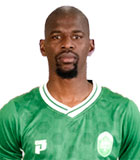 Sandile Mthethwa