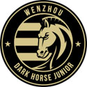 Jiangxi Dark Horse Junior